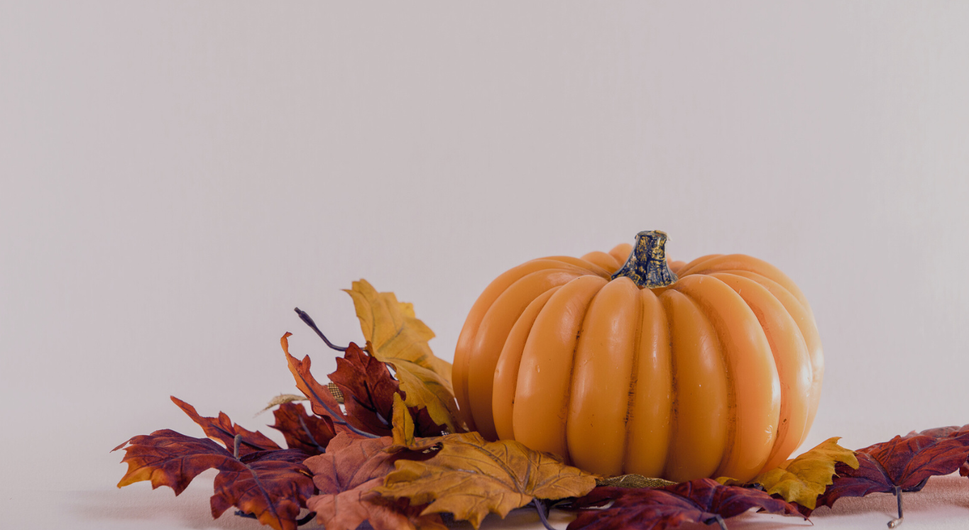 Pumpkin and leafs
